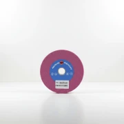 Ściernica ceramiczna typ T1